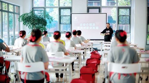 支持家政企业扩大育儿服务 三胎政策下天鹅到家的机遇与担当